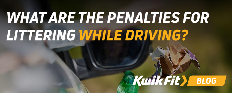 Littering being thrown out of a car